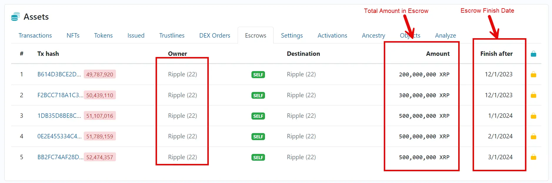 Ripple-Wallet-22-XRP-Holdings